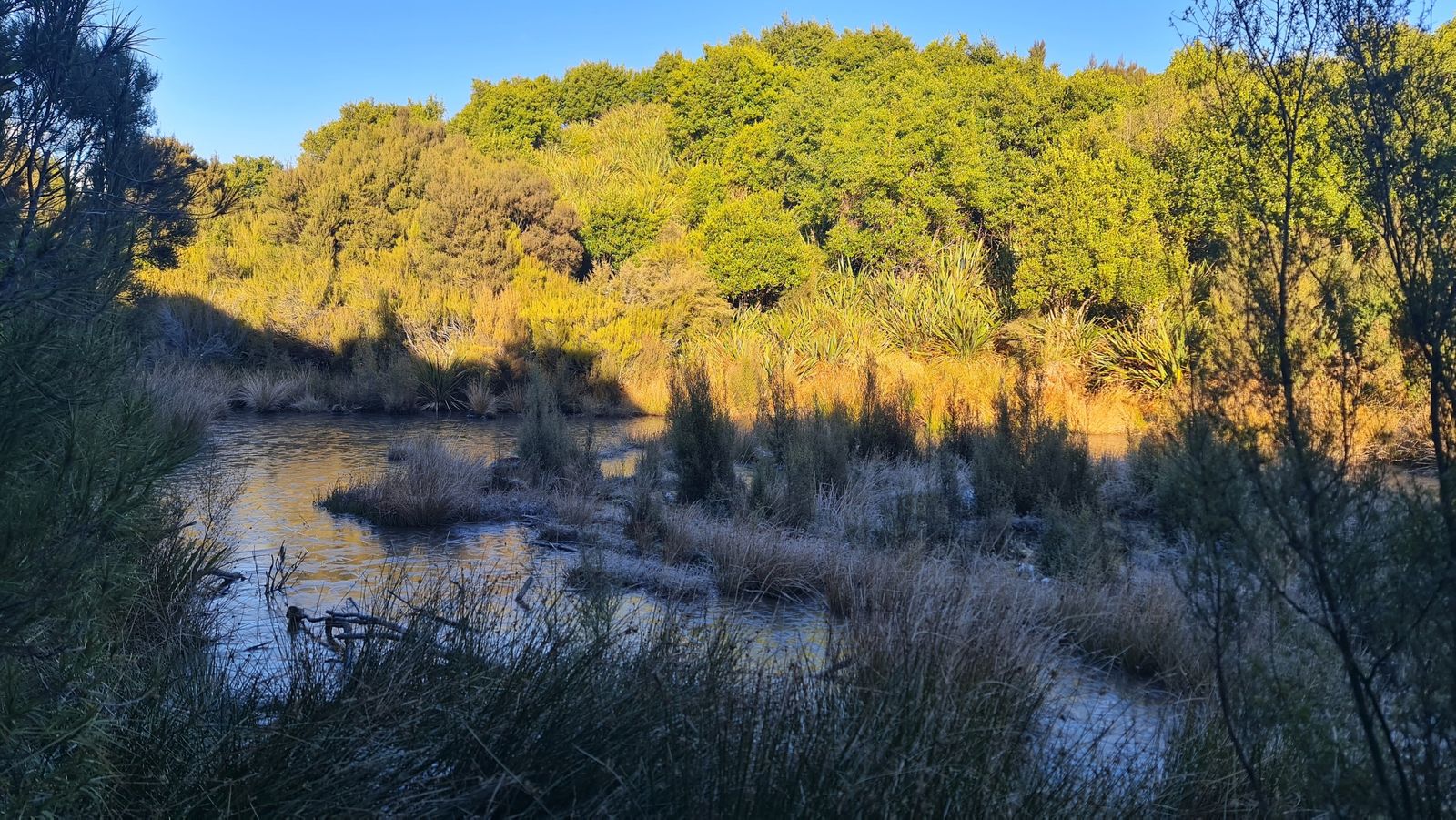 A scenic view from within Peel Forest Reserve.